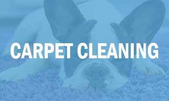 Carpet Cleaning in Destin, Fl