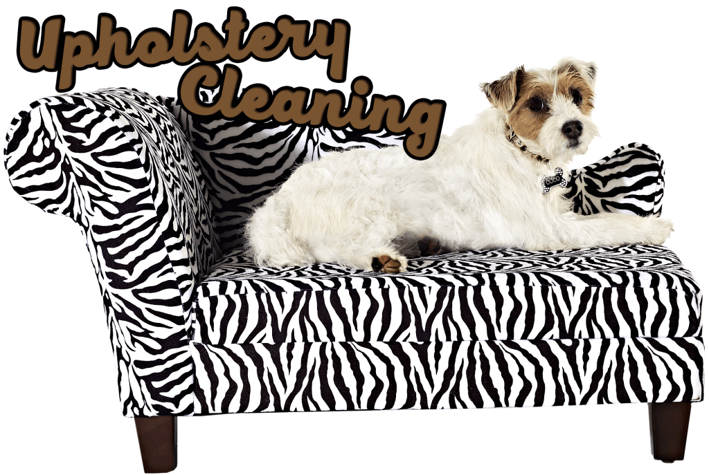 Upholstered Furniture Cleaning In Destin And Sorrunding Areas